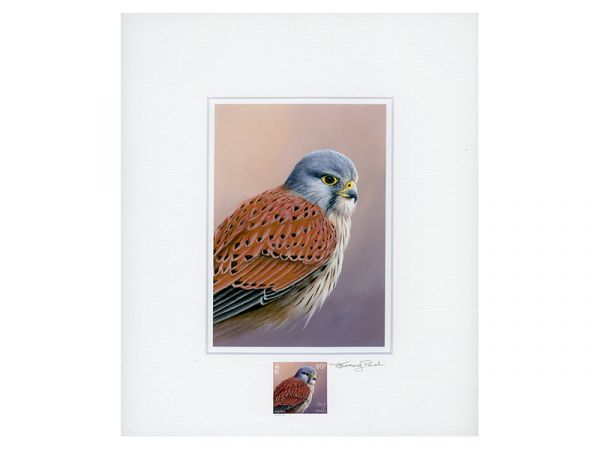 Birds of Prey by Jeremy Paul Signed Prints
