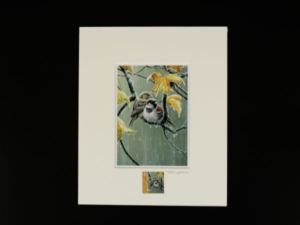 Jeremy Paul Town & Country Bird Complete Print Collection