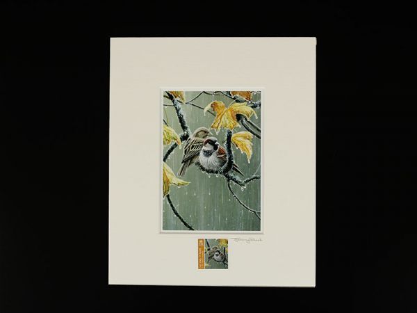 Jeremy Paul Town & Country Birds Signed House Sparrow Print