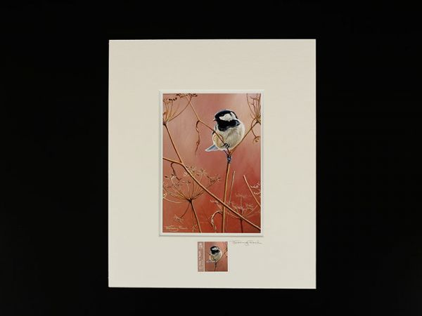Jeremy Paul Town & Country Birds Signed Coal Tit Print