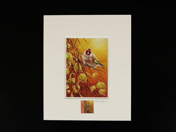 Jeremy Paul Town & Country Birds Signed  Goldfinch Print