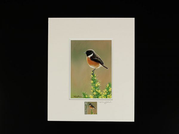 Jeremy Paul Town & Country Birds Signed Stonechat Print