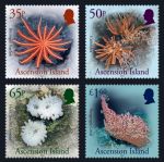 Ascension Islands: Deep Sea