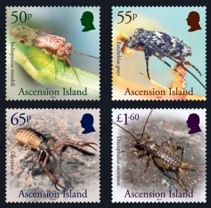 Ascension Island: Insects