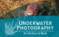Isle of Man Post Office Issues Underwater Photography Stamp Collection