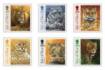 Jeremy Paul Big Cats & Journey Through Africa 