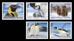 Emperor Penguins – Letter & Postcard Rates