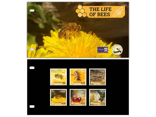 The Life of Bees Presentation Pack