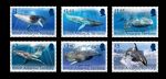 Whales and Seals Definitive