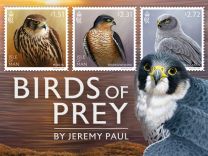 Birds of Prey by Jeremy Paul 