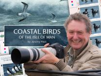 Coastal Birds of the Isle of Man by Jeremy Paul