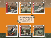 Manx Winter Wildlife by Rowan Corlett