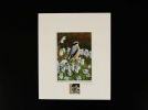 Jeremy Paul Town & Country Birds Signed Wheatear Print