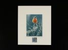 Jeremy Paul Town & Country Birds Signed Chaffinch Print