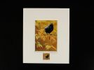 Jeremy Paul Town & Country Birds Signed Blackbird Print