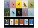 Show Birds Presentation Pack 