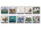 The Creative Network Set & Sheet Set
