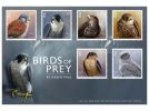 Birds of Prey by Jeremy Paul First Day Cover